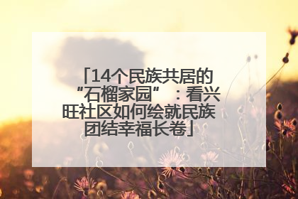 14个民族共居的“石榴家园”：看兴旺社区如何绘就民族团结幸福长卷