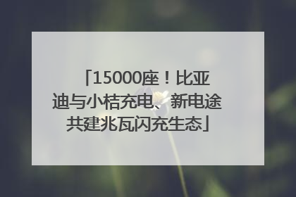 15000座！比亚迪与小桔充电、新电途共建兆瓦闪充生态