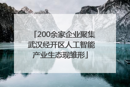 200余家企业聚集 武汉经开区人工智能产业生态现雏形