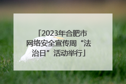 2023年合肥市网络安全宣传周“法治日”活动举行