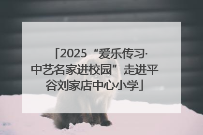 2025“爱乐传习·中艺名家进校园”走进平谷刘家店中心小学