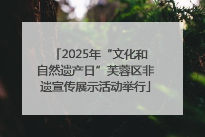 2025年“文化和自然遗产日”芙蓉区非遗宣传展示活动举行