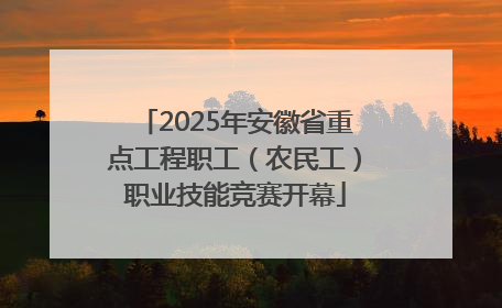 2025年安徽省重点工程职工（农民工）职业技能竞赛开幕