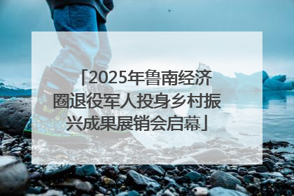 2025年鲁南经济圈退役军人投身乡村振兴成果展销会启幕