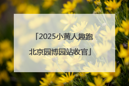 2025小黄人趣跑北京园博园站收官