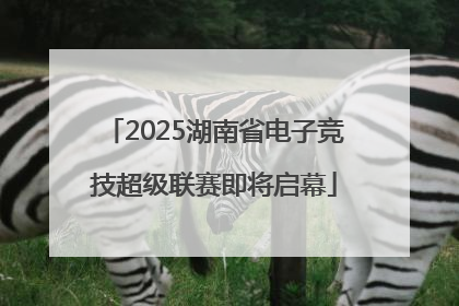 2025湖南省电子竞技超级联赛即将启幕