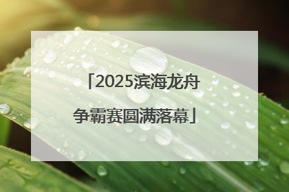 2025滨海龙舟争霸赛圆满落幕