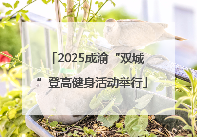 2025成渝“双城”登高健身活动举行