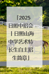 2025日照中招会丨日照山海中学艺术特长生自主招生简章
