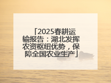 2025春耕运输报告：湖北发挥农资枢纽优势，保障全国农业生产