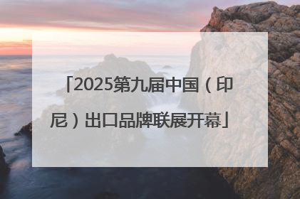 2025第九届中国（印尼）出口品牌联展开幕