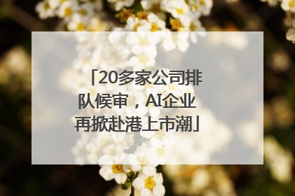 20多家公司排队候审，AI企业再掀赴港上市潮
