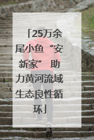 25万余尾小鱼“安新家” 助力黄河流域生态良性循环