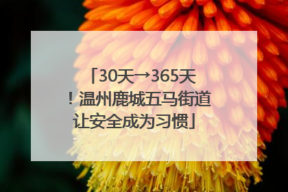 30天→365天！温州鹿城五马街道让安全成为习惯