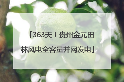 363天！贵州金元田林风电全容量并网发电