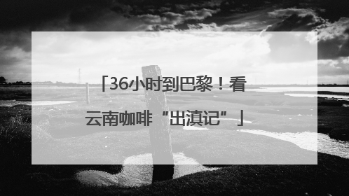 36小时到巴黎！看云南咖啡“出滇记”