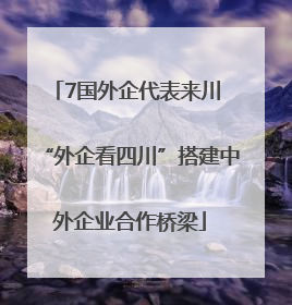 7国外企代表来川 “外企看四川”搭建中外企业合作桥梁