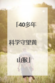 40多年科学守望黄山猴