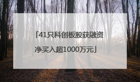 41只科创板股获融资净买入超1000万元