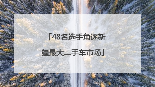48名选手角逐新疆最大二手车市场