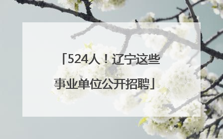 524人！辽宁这些事业单位公开招聘