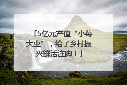 5亿元产值“小莓大业”，给了乡村振兴鲜活注脚！