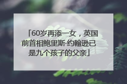 60岁再添一女，英国前首相鲍里斯·约翰逊已是九个孩子的父亲