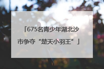 675名青少年湖北沙市争夺“楚天小羽王”