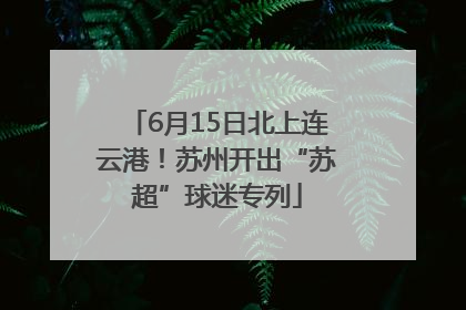 6月15日北上连云港！苏州开出“苏超”球迷专列