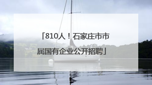 810人！石家庄市市属国有企业公开招聘