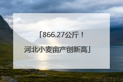 866.27公斤！河北小麦亩产创新高