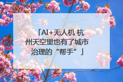 AI+无人机 杭州天空里也有了城市治理的“帮手”
