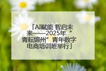 AI赋能 智启未来——2025年“青耘锦州”青年数字电商培训班举行
