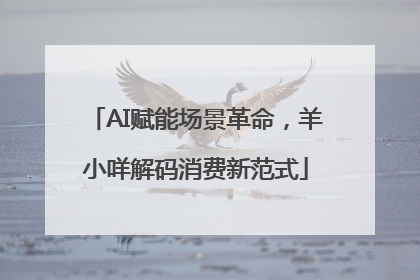 AI赋能场景革命，羊小咩解码消费新范式