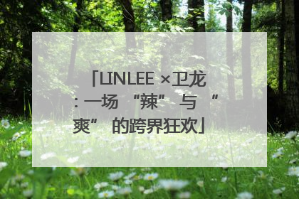 LINLEE ×卫龙：一场 “辣” 与 “爽” 的跨界狂欢