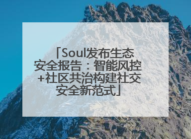 Soul发布生态安全报告：智能风控+社区共治构建社交安全新范式
