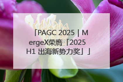 PAGC 2025｜MergeX荣膺「2025 H1 出海新势力奖」