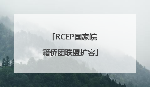 RCEP国家皖籍侨团联盟扩容