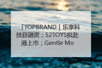 TOPBRAND｜乐享科技获融资；52TOYS拟赴港上市；Gentle Monster合作谷歌；Valentino传播官离职